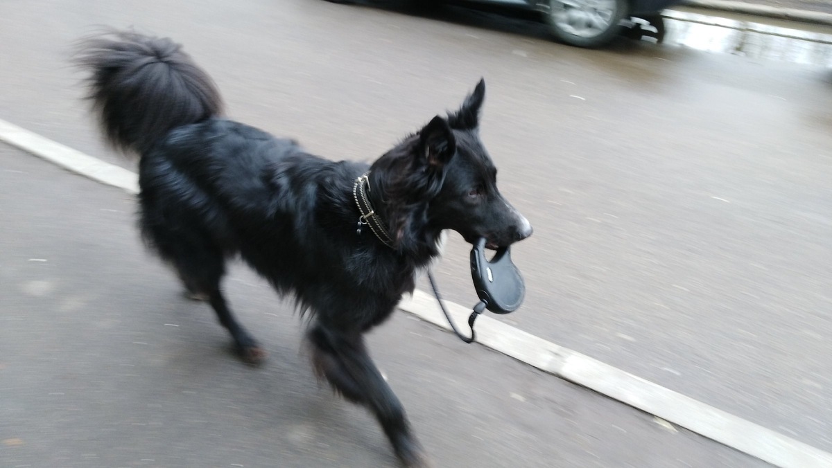 Один из участников приключений и не обычных историй Байкал.