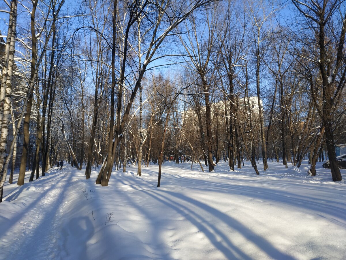 Москва 17 января 2021 год