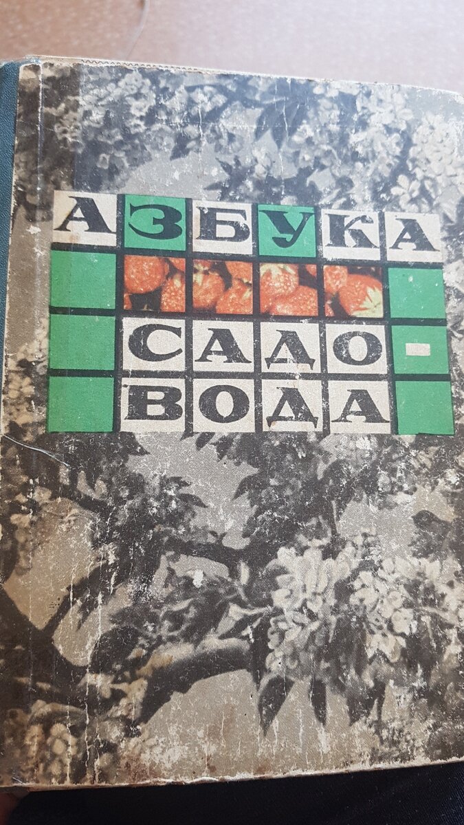 Кто-то любит запах и хруст страниц новых книг, а я обожаю старые