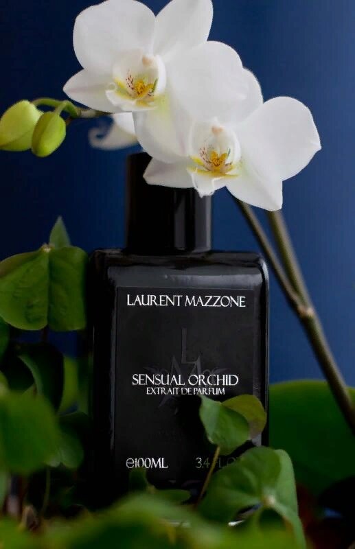 Lm sensual. LM Parfums Pure sensual Orchid EDP. Laurent Mazzone Parfums - sensual Orchid качественные фото. Флаер с описанием аромата sensual Orchid Laurent.