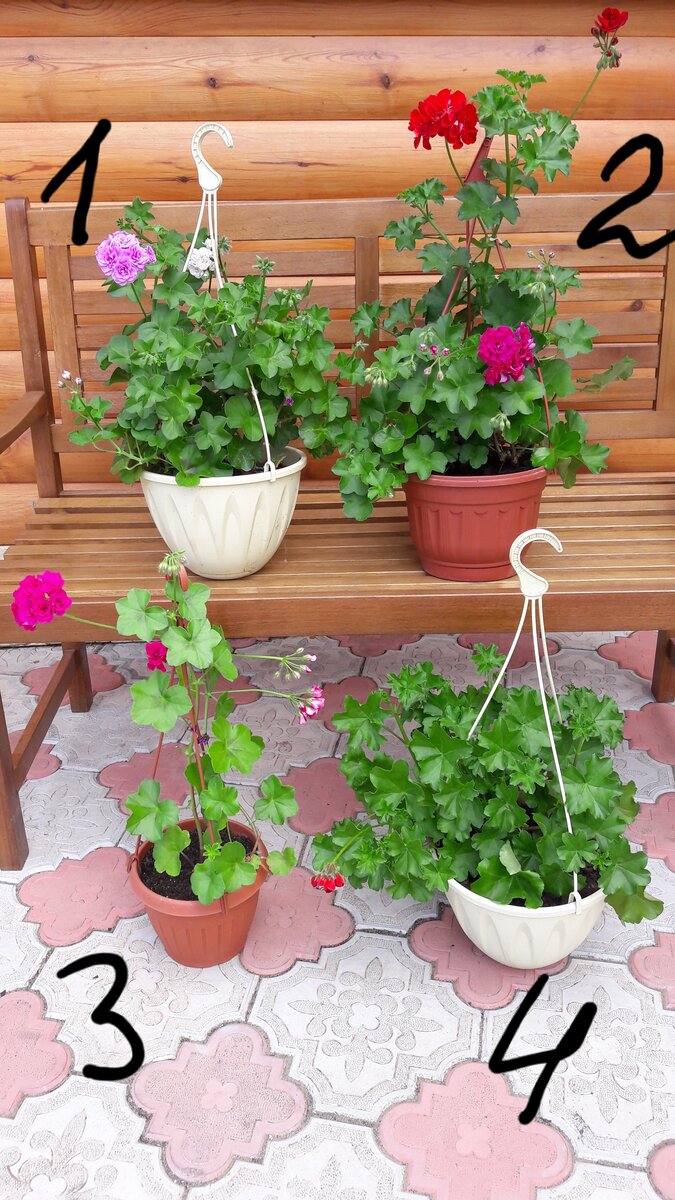 Фото автора. 7мая