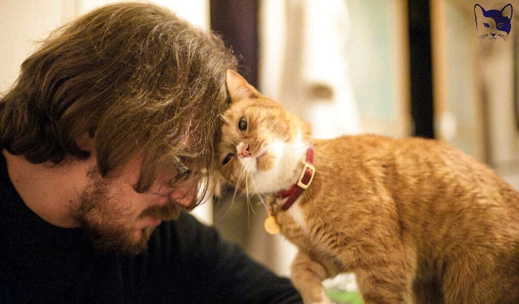 Источник изображения: Яндекс Картинки