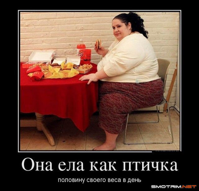 https://smotrim.net/prikoly/325-demotivatory-pro-tolstyh.html