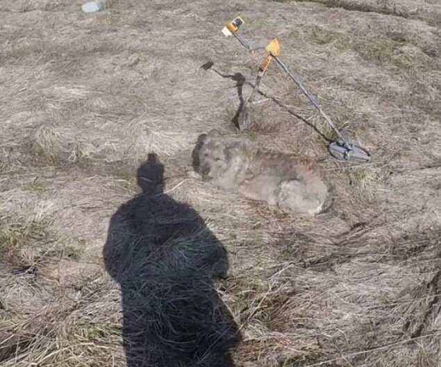 Я ТАСЬКА и АСЬКА