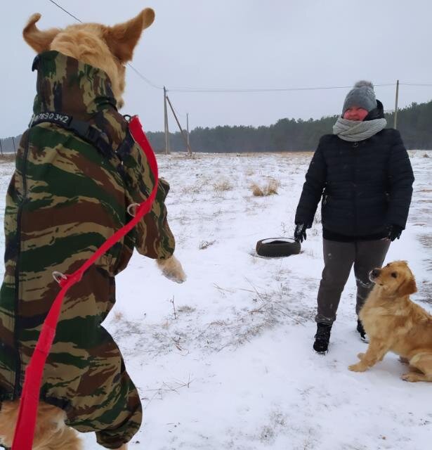 Оригинал снимка Кубы в полёте