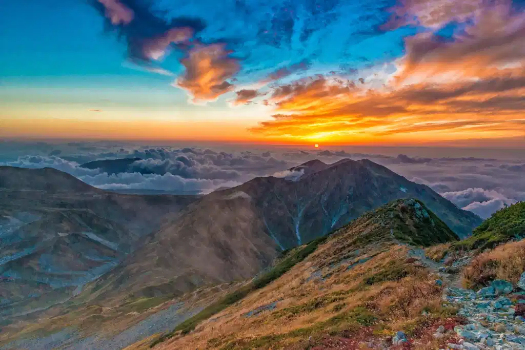 Photo by Pixabay on Pexels.com