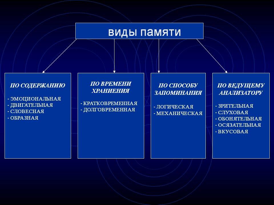 Все перечисленные варианты верны. К видам памяти относятся:. Память виды памяти. Перечислите виды памяти. Виды памяти у человека.