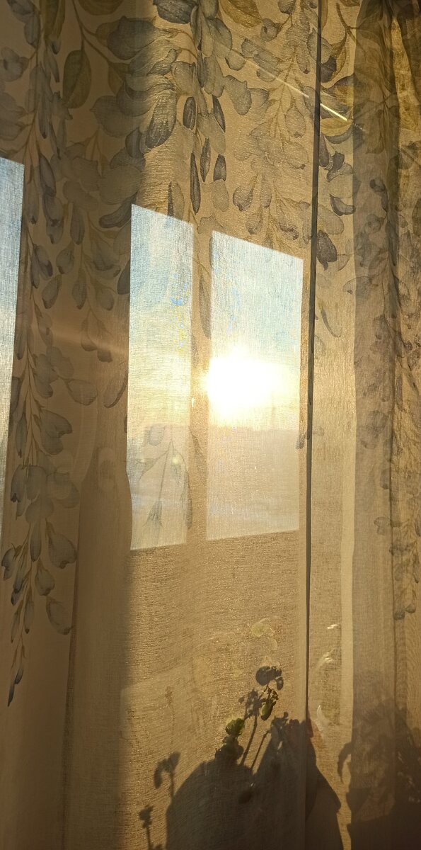 Солнце в дом. Без фильтров. 