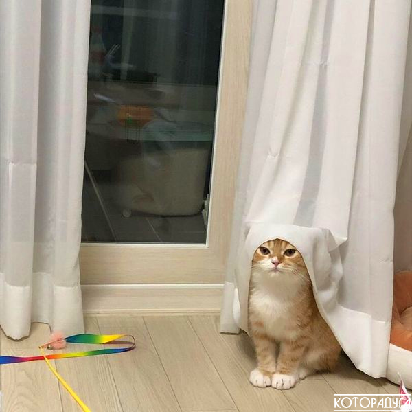 Источник: pinterest.com