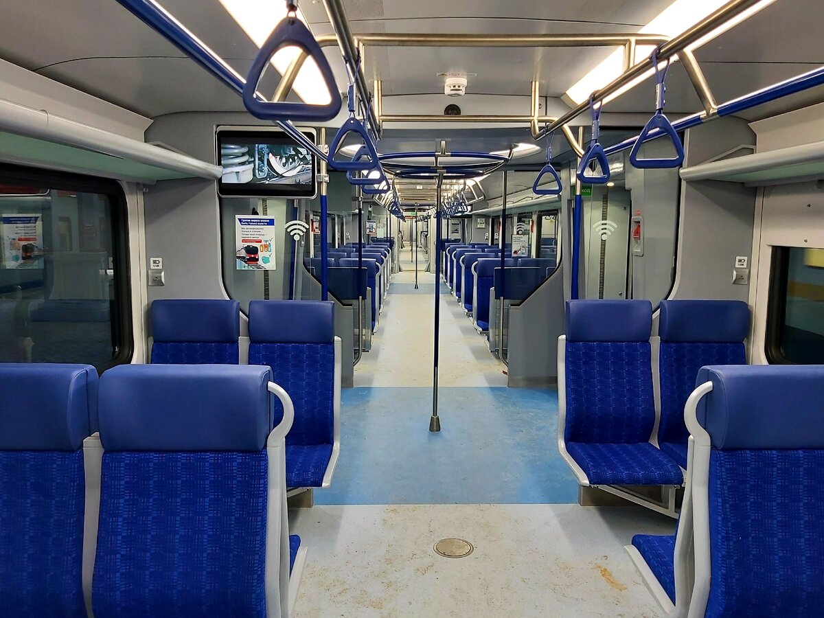 Иволга, фото автора