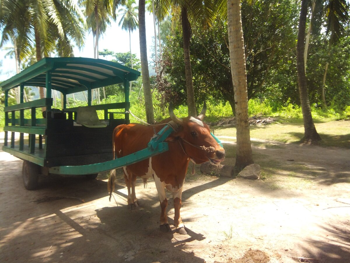 Фото сделано автором. Ла Диг, 10.02.2012