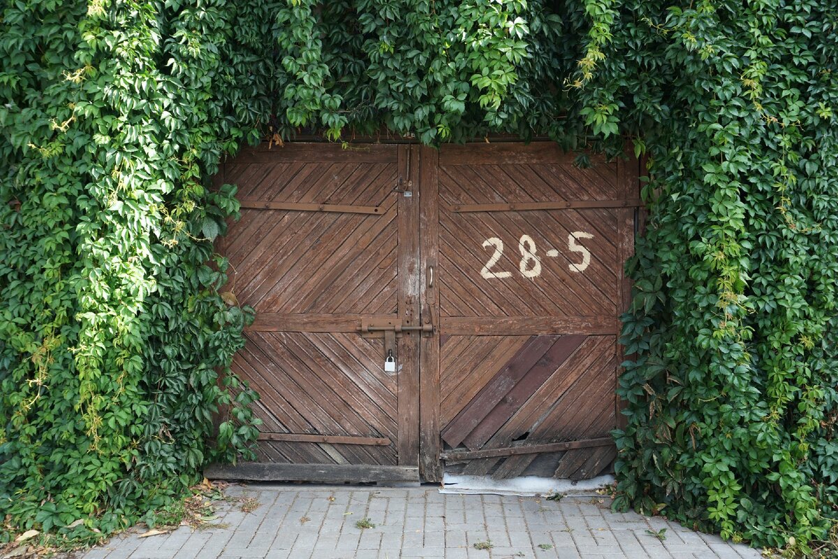 Конечно, перед этими воротами даже самый умный GSM-модуль окажется бессилен. Photo by Victoria Strukovskaya // unsplash.com