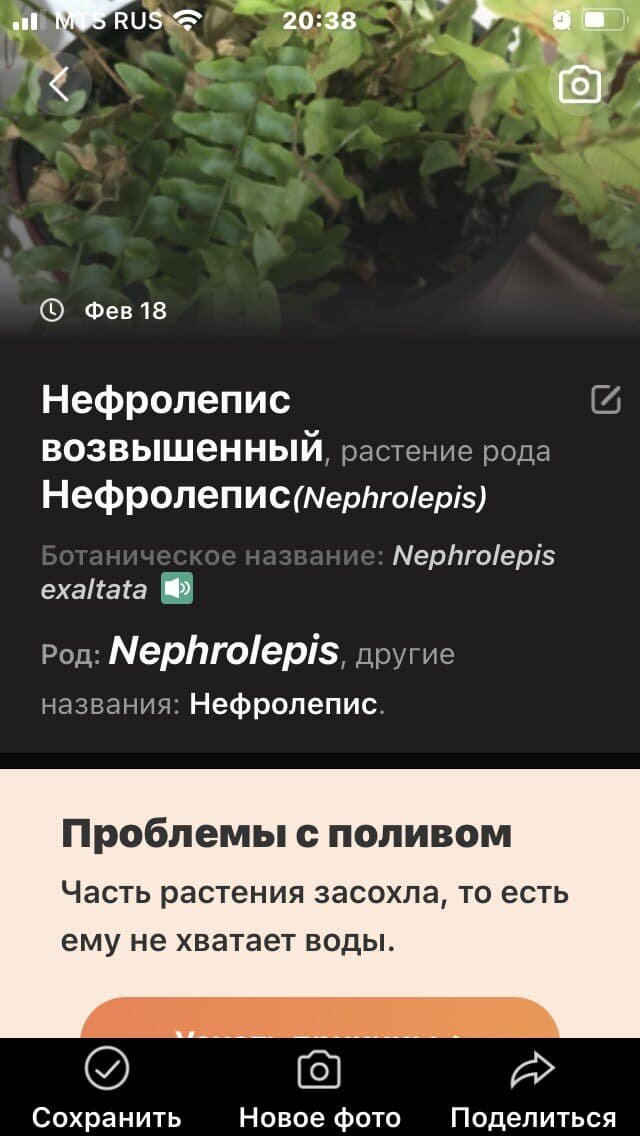 В карусели несколько результатов работы приложения.