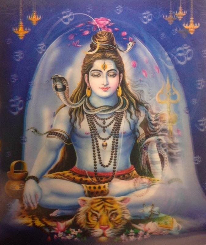 Фото взято из открытых источников