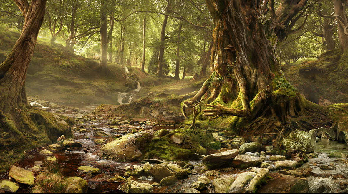 Предгорье, невысокий лес. Мало пуганая крупная дичь и ни следа человека вокруг. 