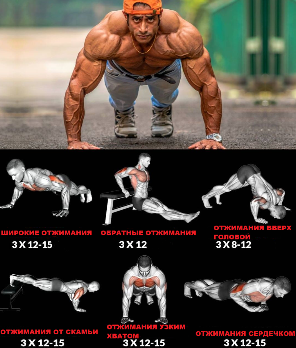 Push Workout. Изометрические отжимания. Типы отжиманий на разные группы мышц. Бодибилдинг упражнения отжимания. Польза отжиманий для мужчин