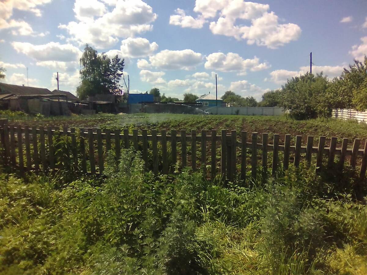 Мой кормилец - любимый огород.