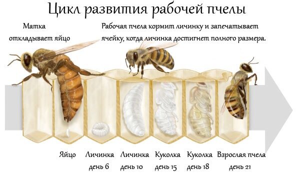 фото яндекс картинки