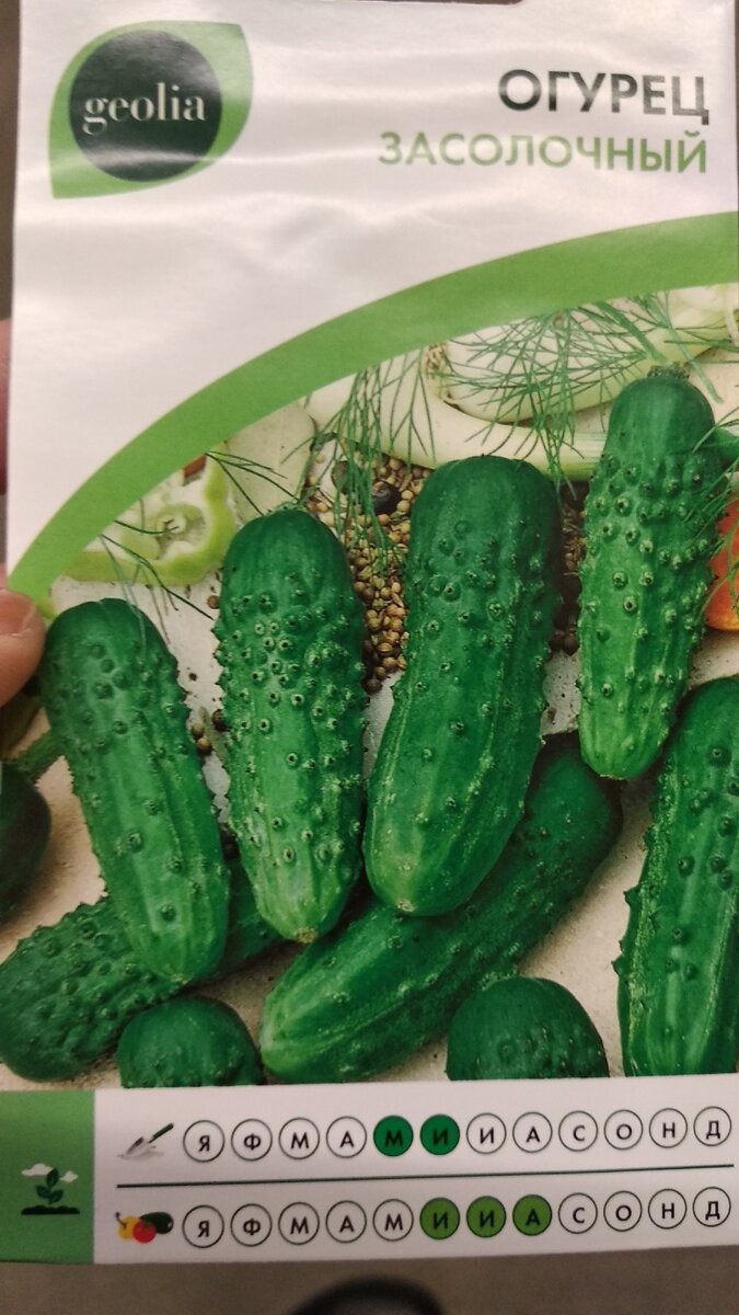 Огурец Засолочный
