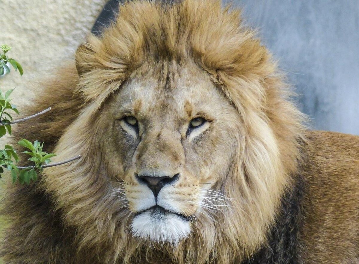 Единого подхода нет