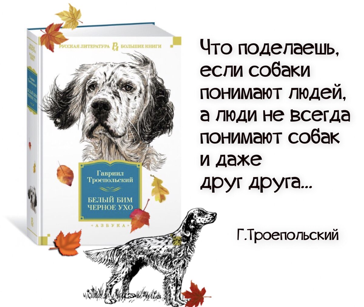 Белый бим черное ухо автор. Троепольский белый Бим черное ухо книга. Белый Бим чёрное ухо Гавриил Троепольский. Книга юбиляр белый Бим черное ухо. «Белый Бим, черное ухо», г.н. Троепольский.