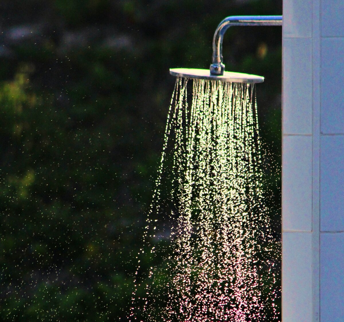 Душевая в лесу