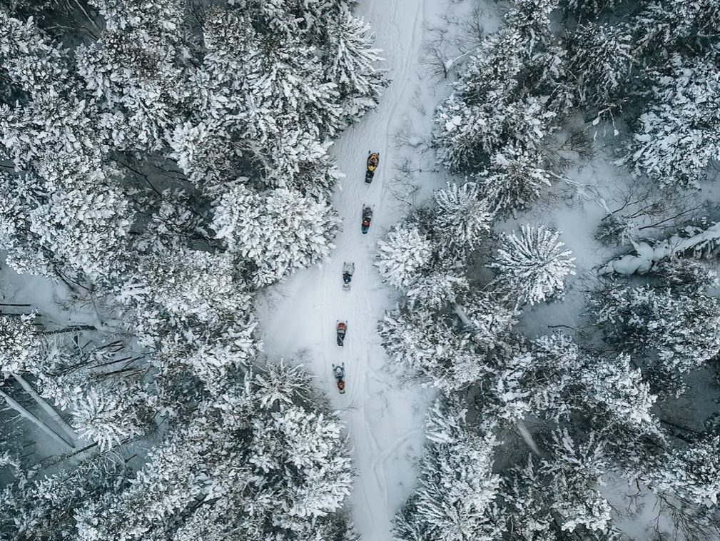 Фото: @oktagon, instagram.com*