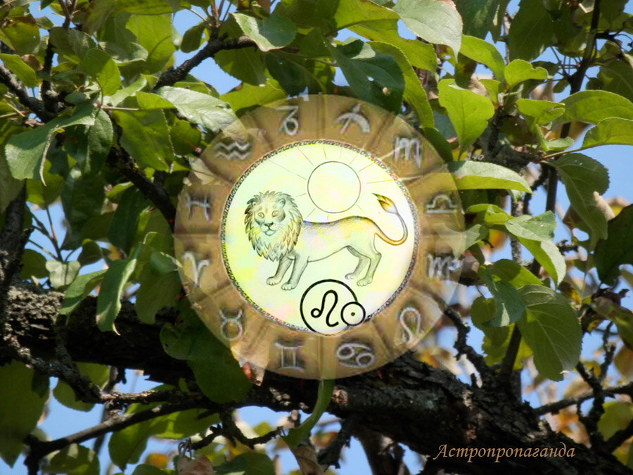 Коллаж Нины Стрелковой. 