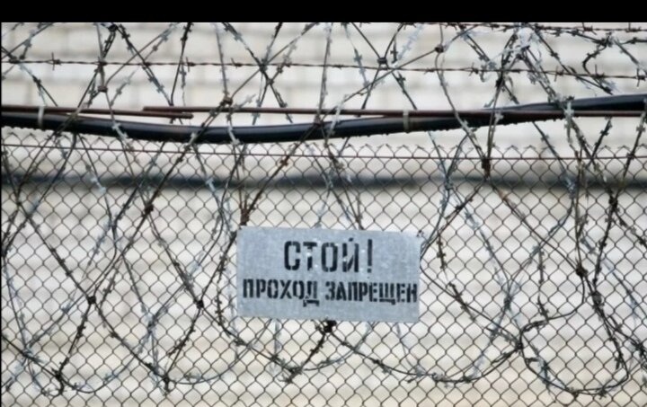 Фото из интернета. 