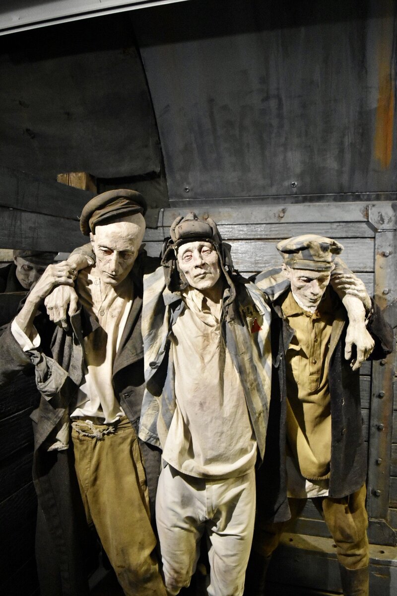 Фото: Ангелина Пономарчук 