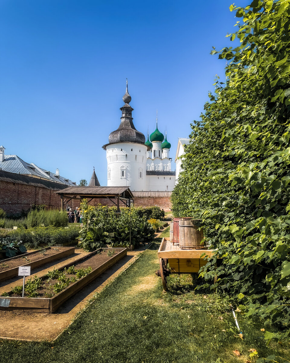 Огород в Митрополичьем саду