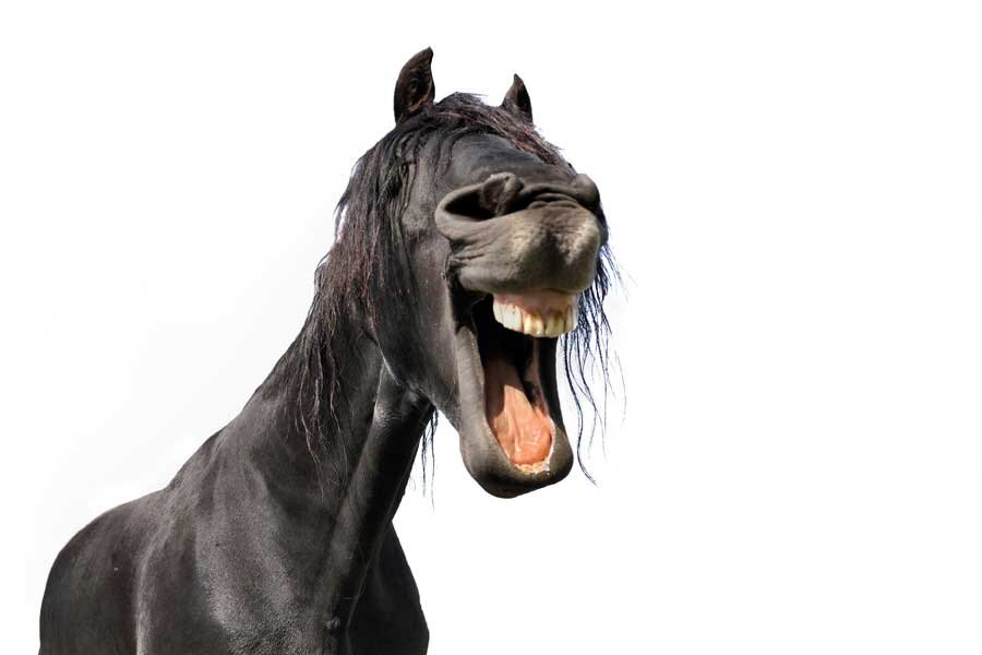 Ура, сегодня я побегаю 