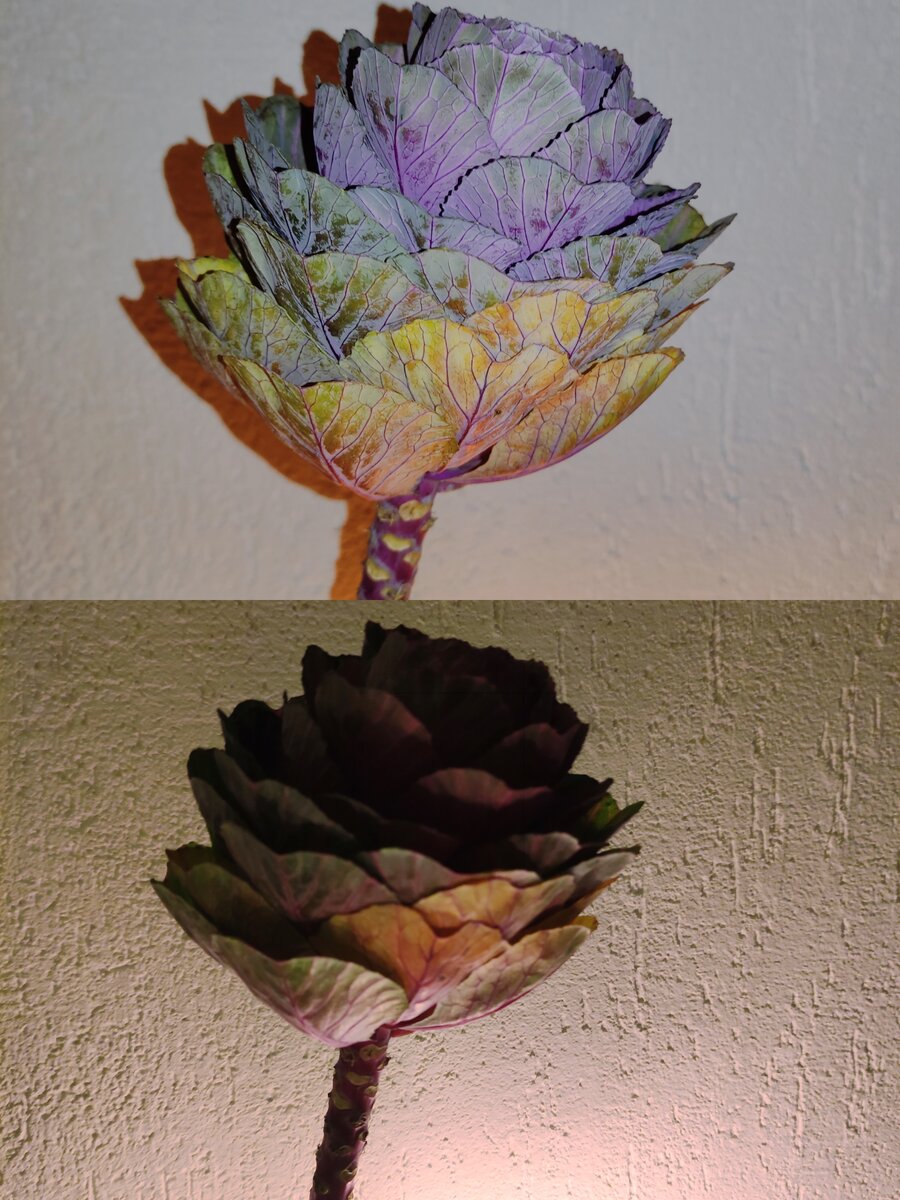 Вот так это выглядит при разном освещении.