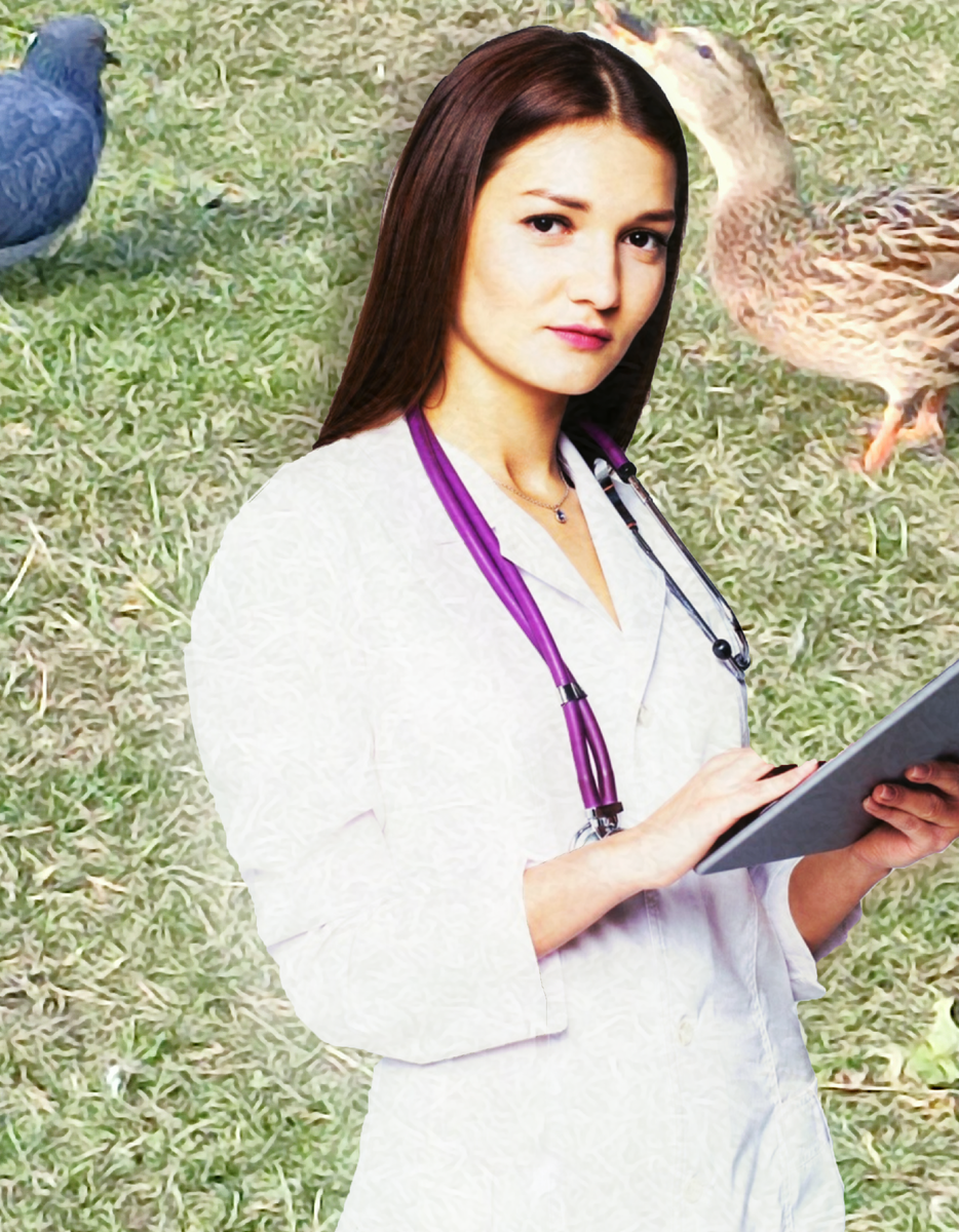 Источник фото: https://www.freepik.com/diana-grytsku