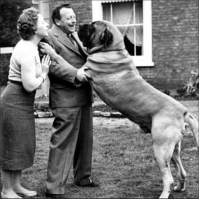 АЭто старое фото, хоть и не конец 16 века, позже