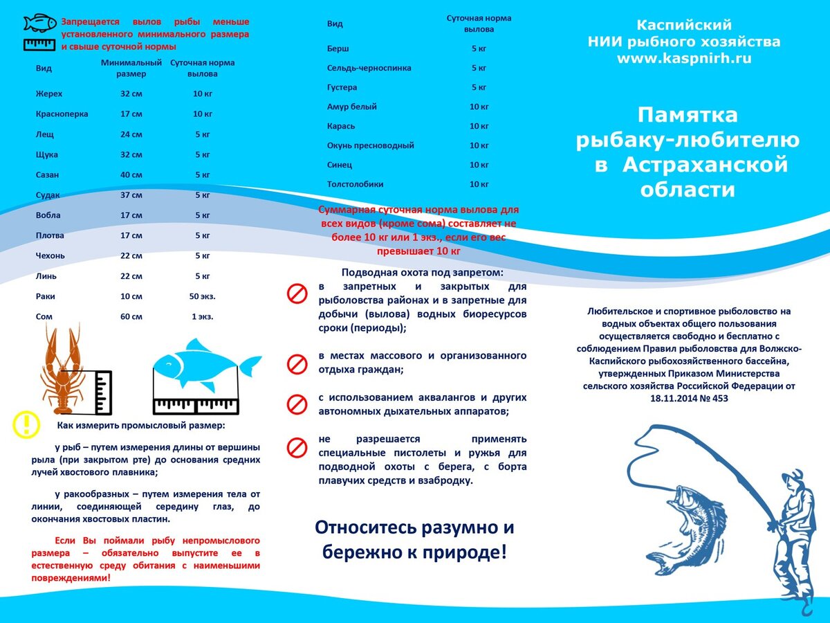 Вот такая памятка очень полезна, только надо помнить, что нормы разные в зависимости от Региона.