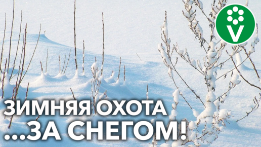 Больше снега – лучше урожай! Как собрать и удержать драгоценную влагу в вашей почве?