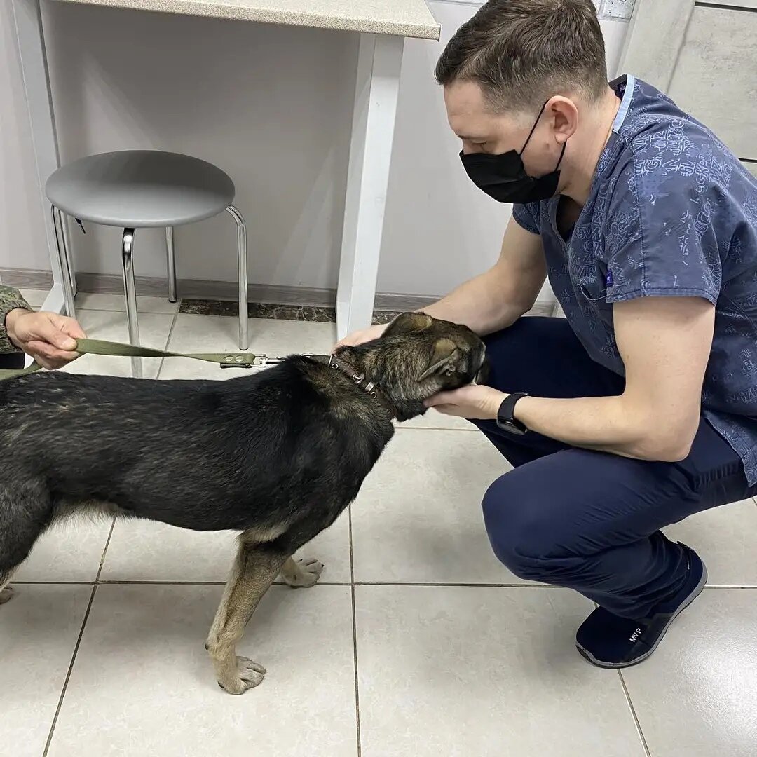 Проходит осмотр перед операцией, такая прям послушная была,зараза)