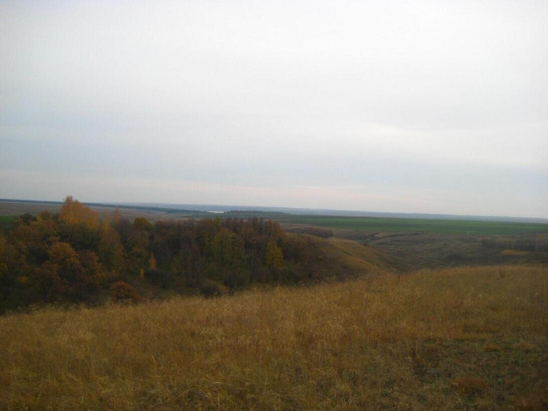 Деревенские пейзажи