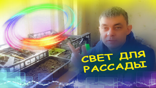 Досвечивание рассады