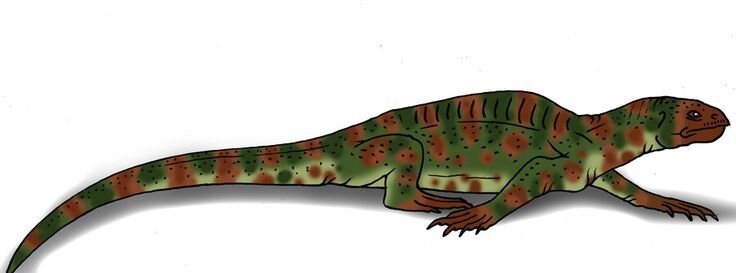 Спинозух затаился