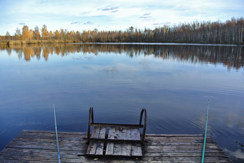Местные рыбаки говорят, что водоем богат разнообразными обитателями. Источник: яндекс.