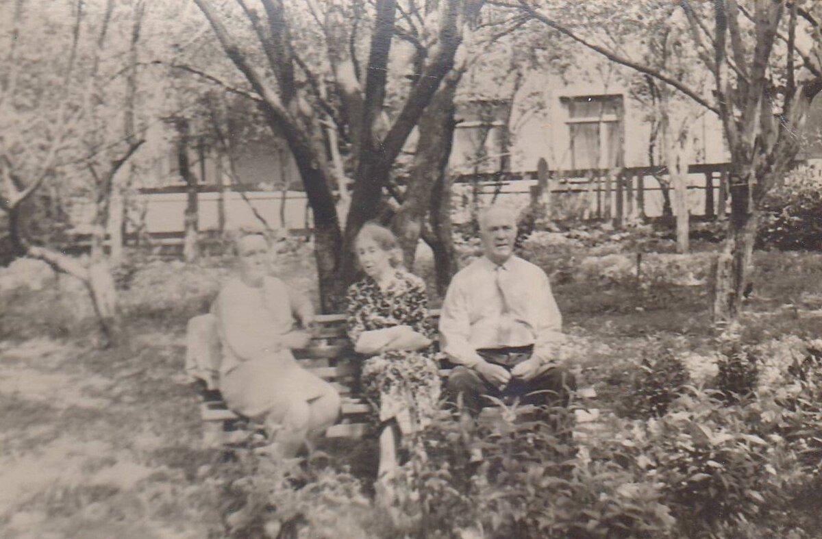 Соседи. Фото: meshok.net