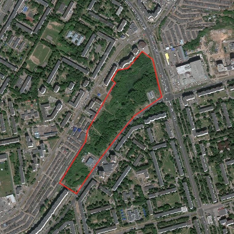 Фото: Пресс-служба Яблока Чувашии