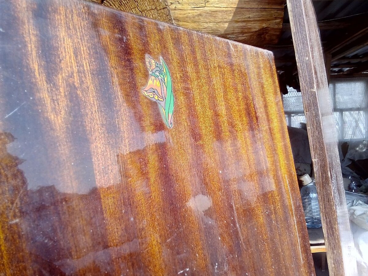 (фото автора)