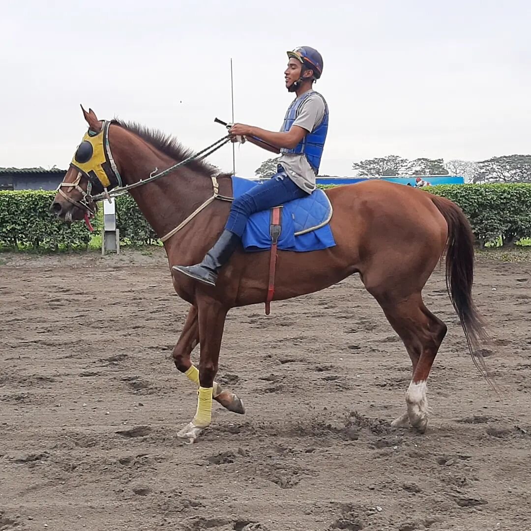Говоря про скачки, мы привыкли подразумевать красивых жокеев на лощёных лошадях и амуницией "с иголочки"... Но ипподромы тоже бывают разные - в том числе и вот с такими участниками... 