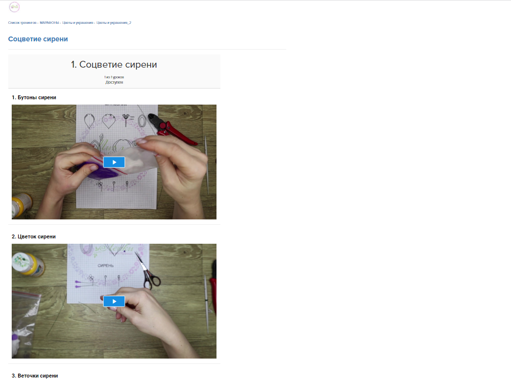 Скриншот с обучающей платформы - бонусный урок школы "Мир лепки"