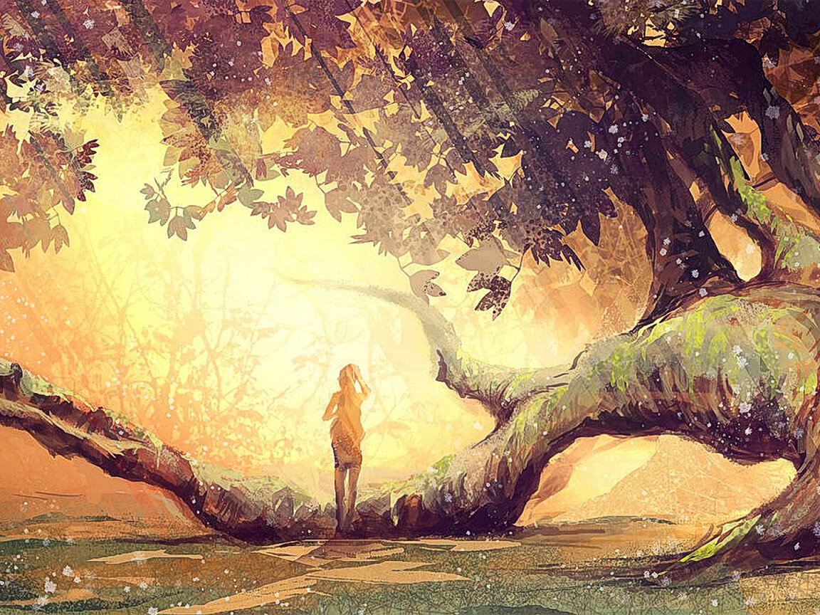 иллюстрация из свободного источника в интернете