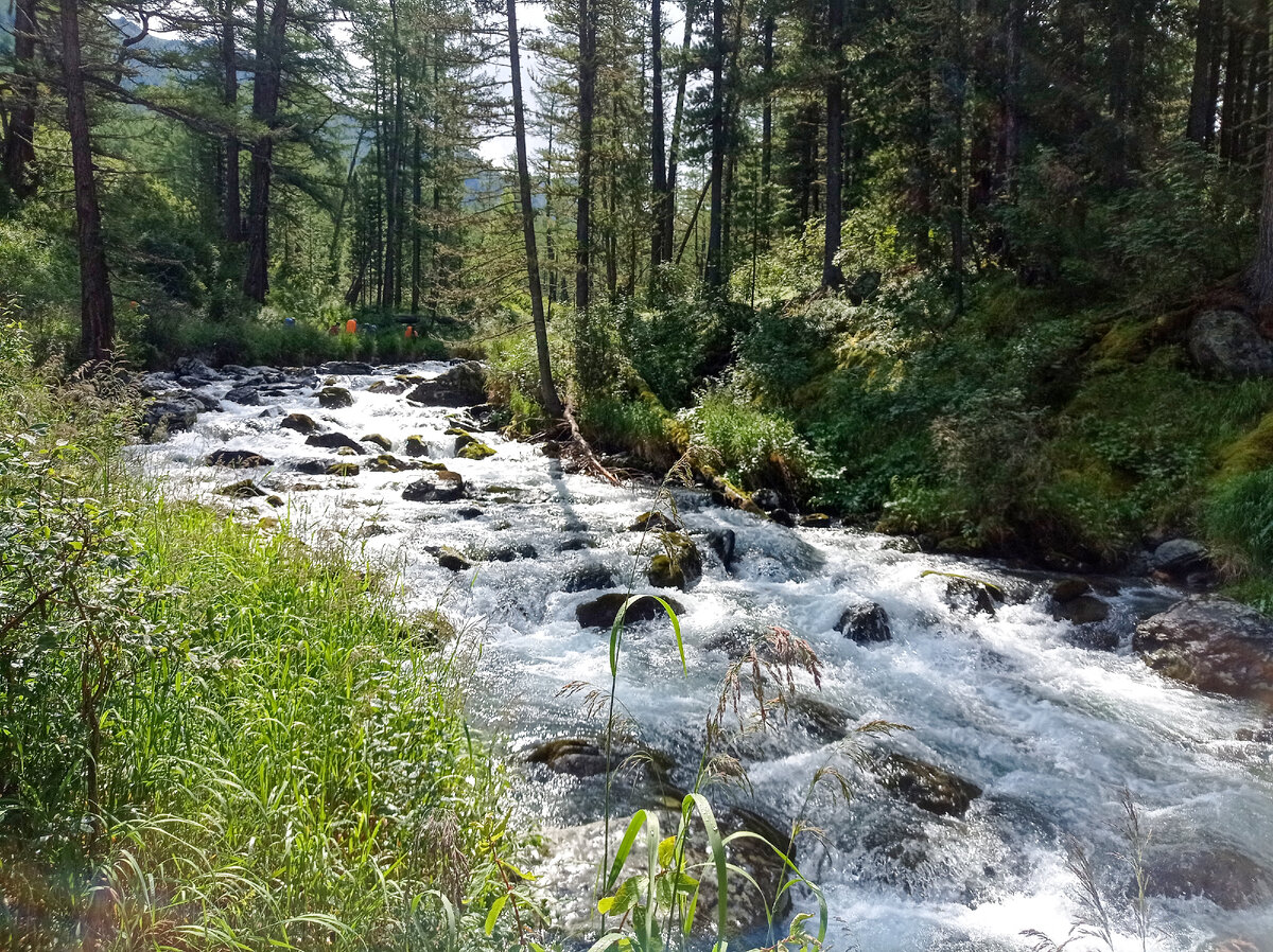 Дорога к новому лагерю. Включили солнце. Теплое, яркое.