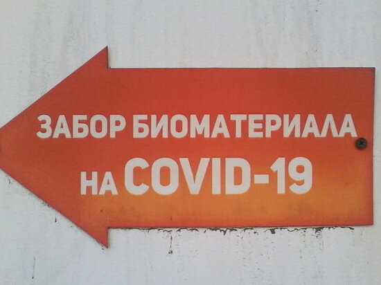     Фото: Алексей Петров